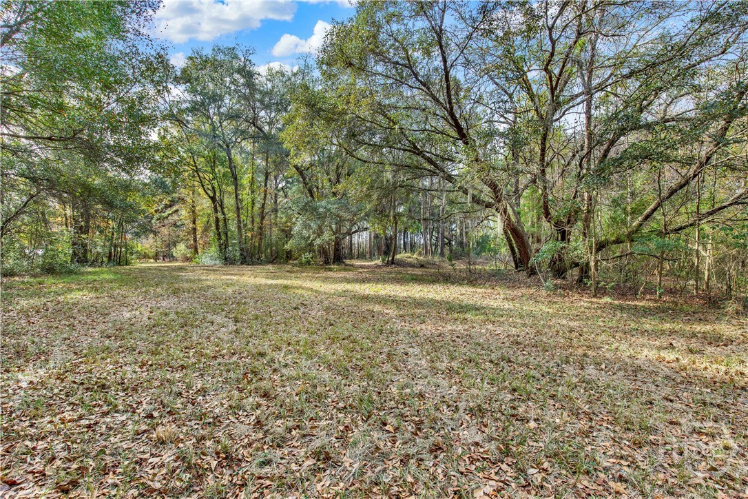 181 Burton Road Property Photo 33