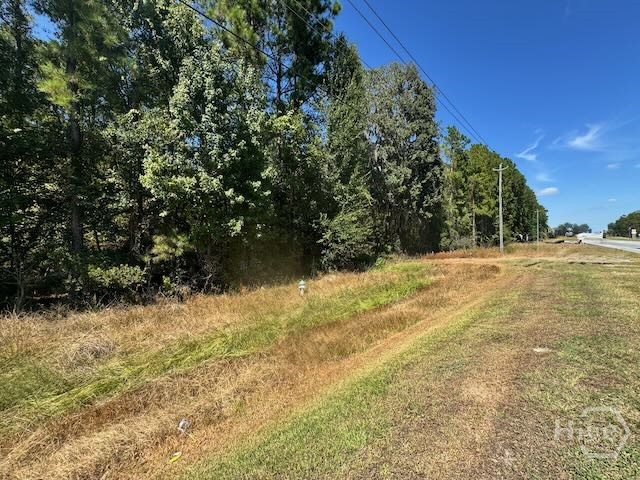 0 Hwy 17 S Property Photo 1