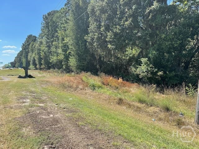 0 Hwy 17 S Property Photo 2
