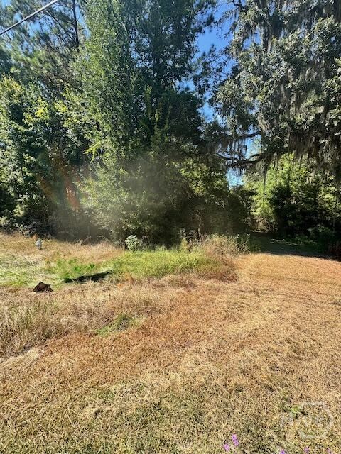 0 Hwy 17 S Property Photo 3