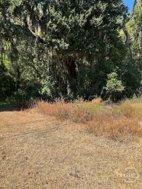 0 Hwy 17 S Property Photo 4
