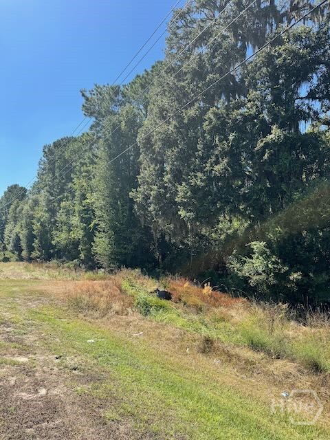 0 Hwy 17 S Property Photo 5