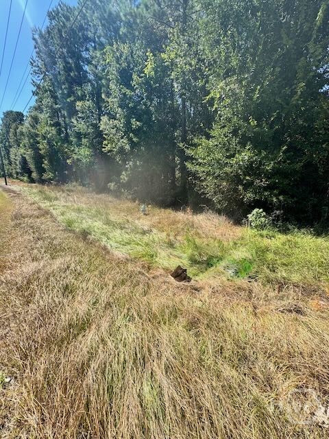 0 Hwy 17 S Property Photo 6