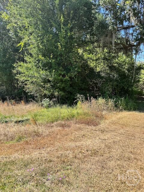 0 Hwy 17 S Property Photo 7