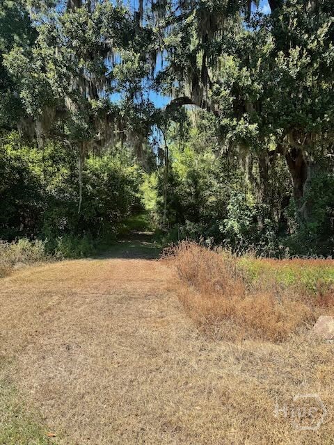 0 Hwy 17 S Property Photo 8