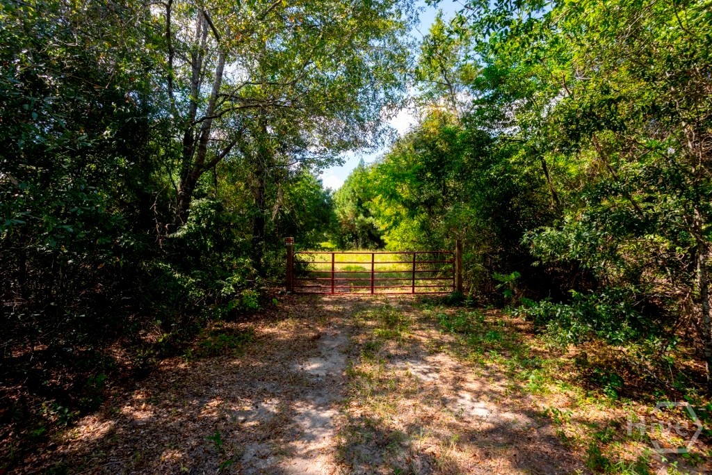 0 Hudson Ferry Rd. & Newington Highway Property Photo 20