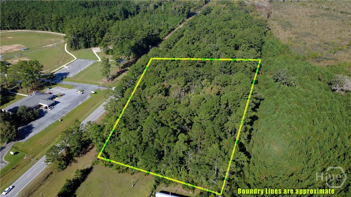 1347 Ga Hwy 57 Property Photo 6
