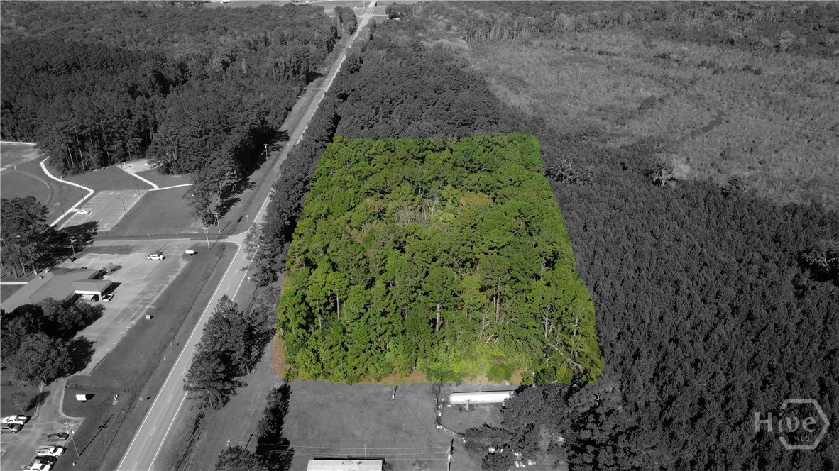 1347 Ga Hwy 57 Property Photo 7