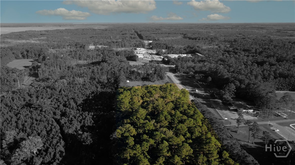 1347 Ga Hwy 57 Property Photo 11