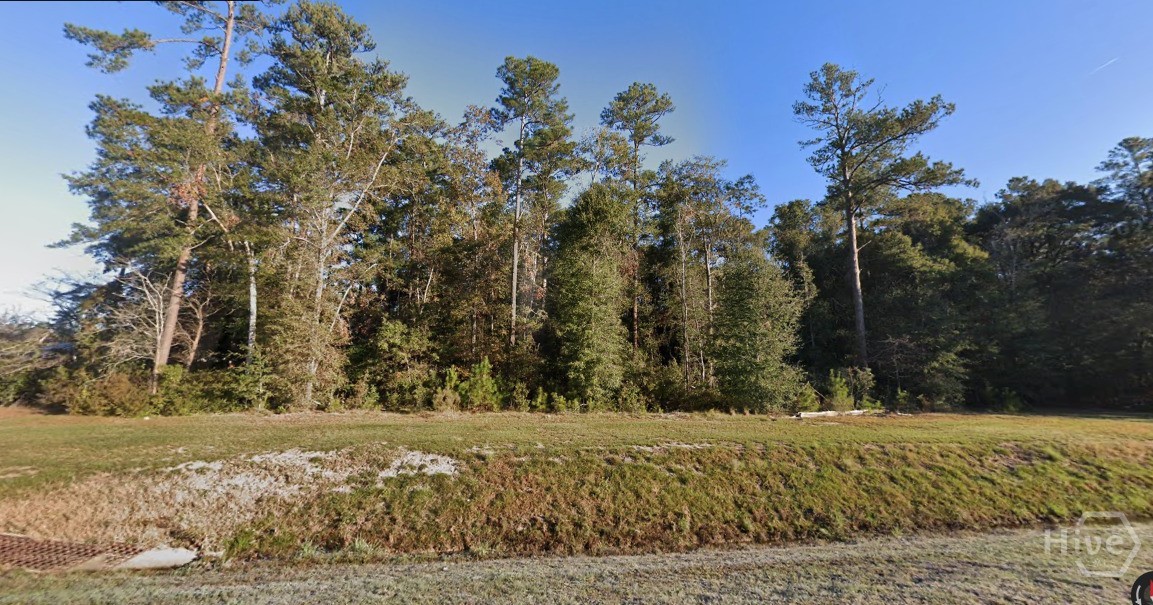 0 Hwy 21 Property Photo 4