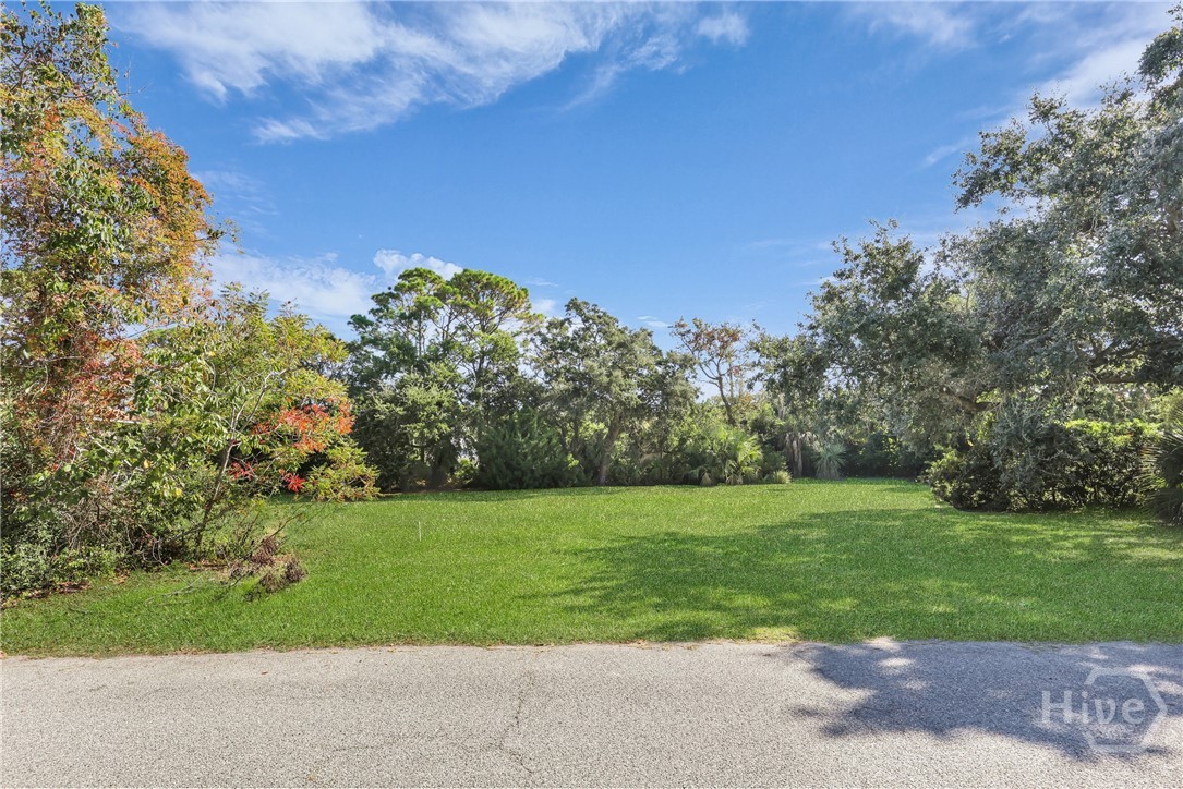 0 5th Avenue Property Photo 5