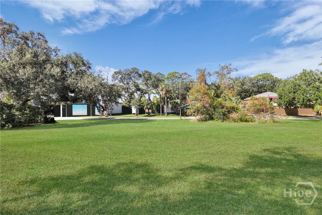 0 5th Avenue Property Photo 8
