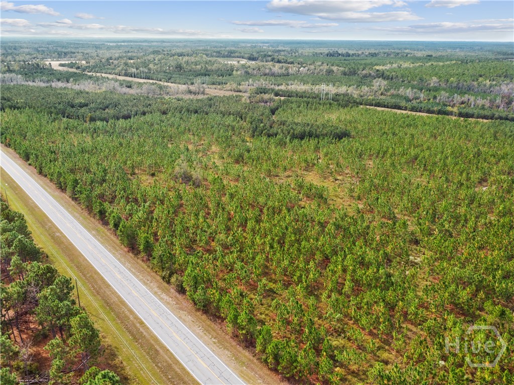 0 Hwy 297 - Tract 3 Property Photo 21
