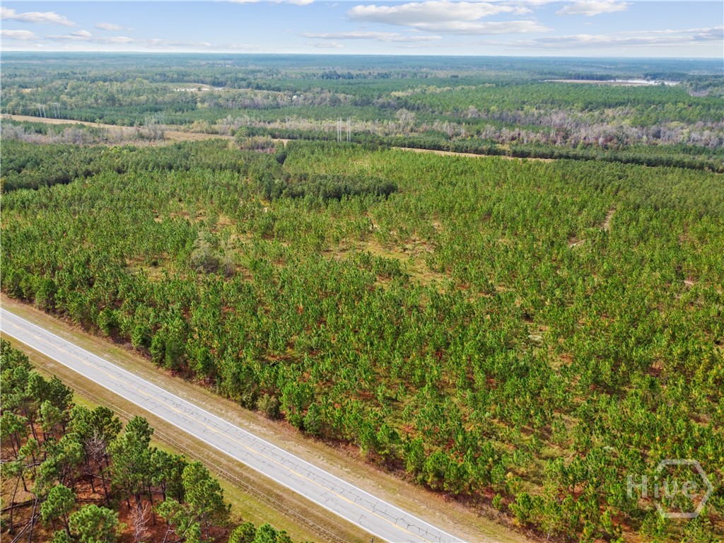 0 Hwy 297 - Tract 3 Property Photo 22