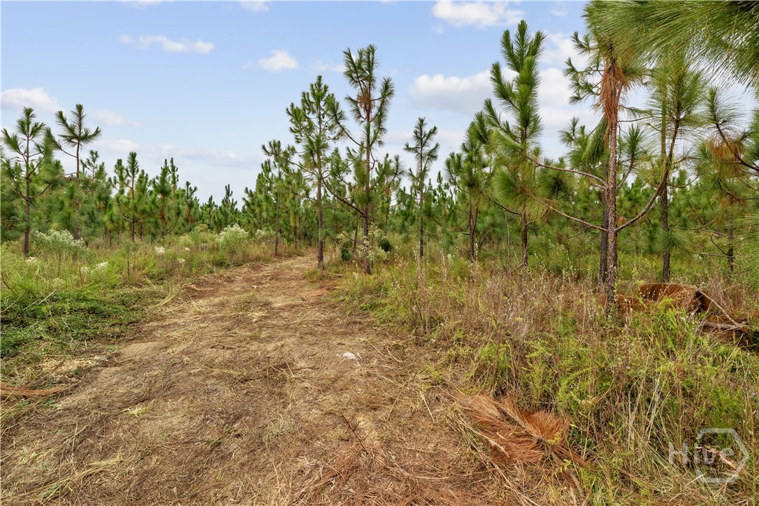 0 Hwy 297 - Tracts 4 Property Photo 2