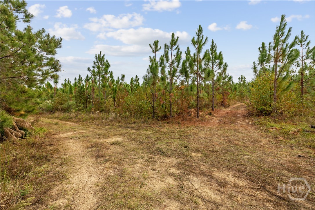 0 Hwy 297 - Tracts 4 Property Photo 6