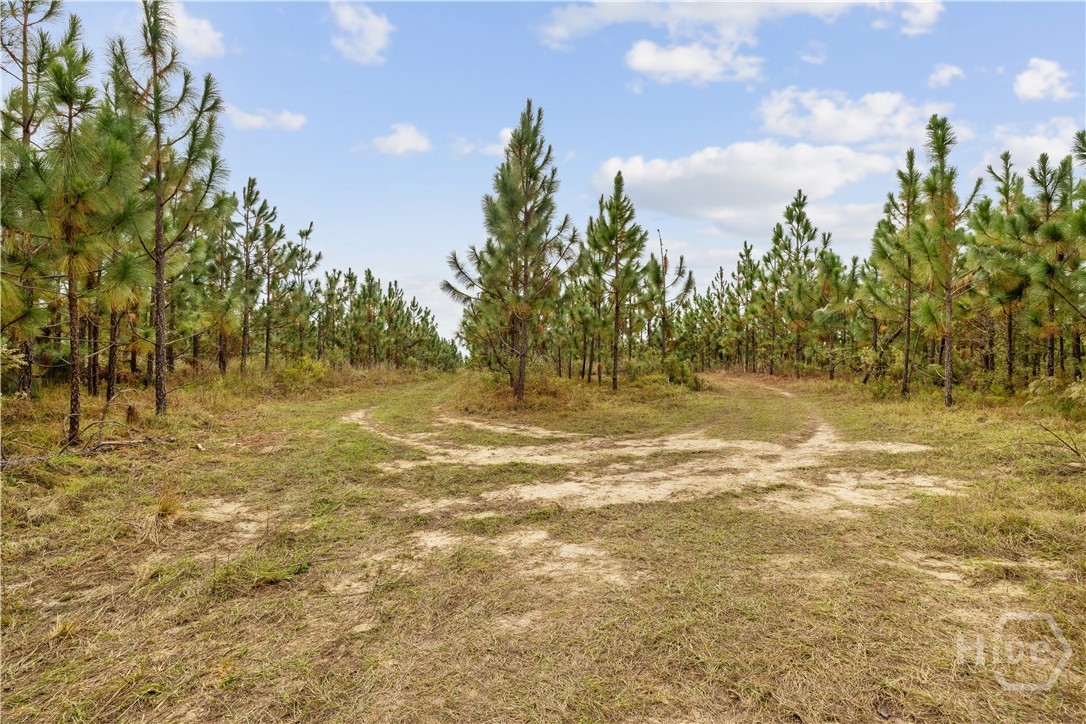 0 Hwy 297 - Tracts 4 Property Photo 7