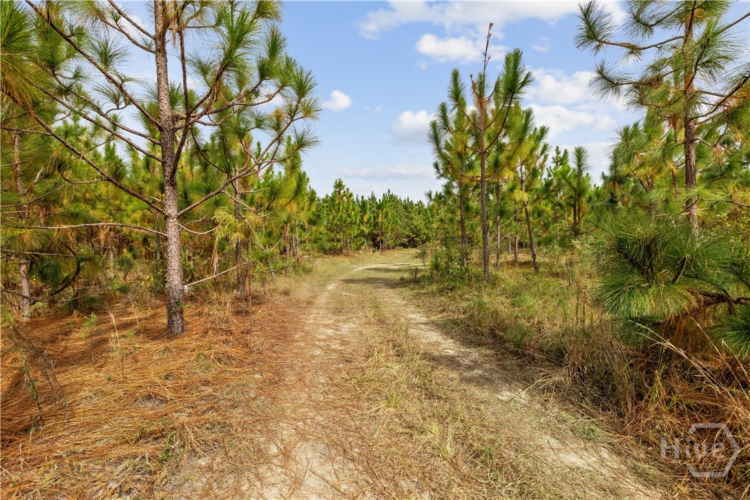0 Hwy 297 - Tracts 4 Property Photo 9