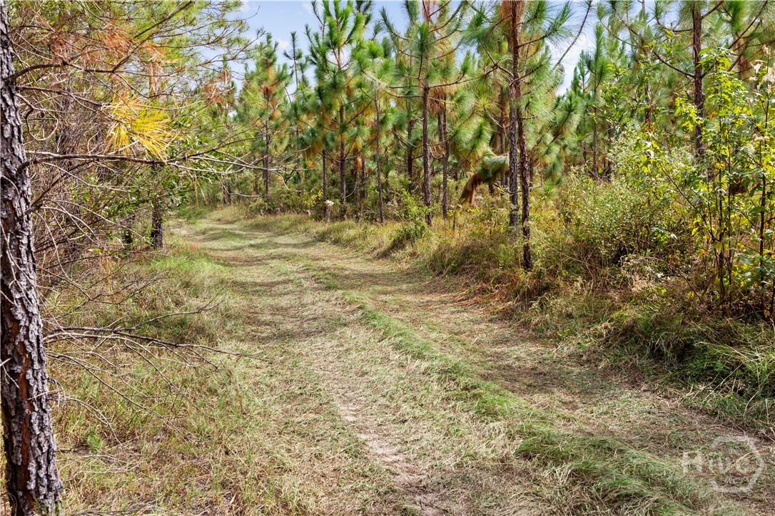 0 Hwy 297 - Tracts 4 Property Photo 11