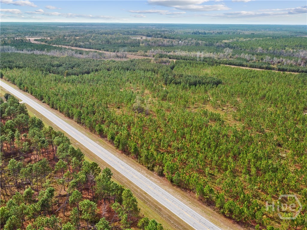 0 Hwy 297 - Tracts 4 Property Photo 17