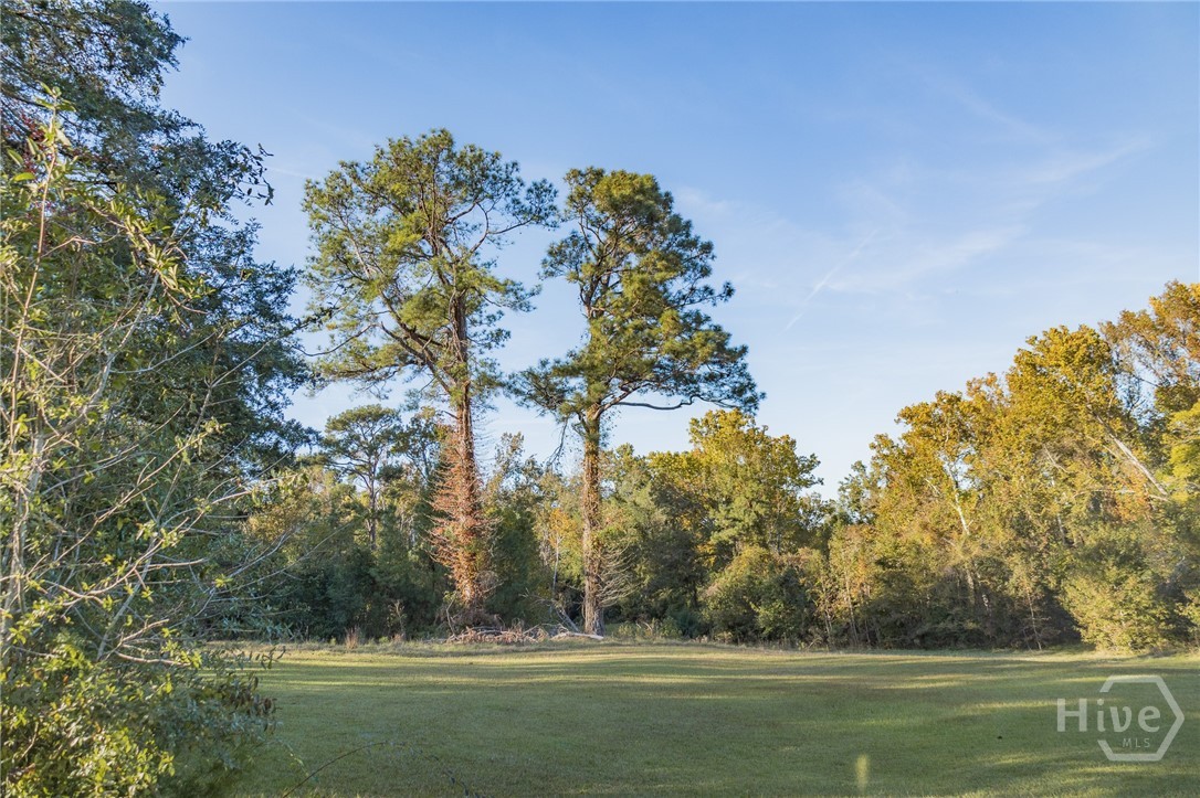 341 Azalea Avenue Property Photo 3