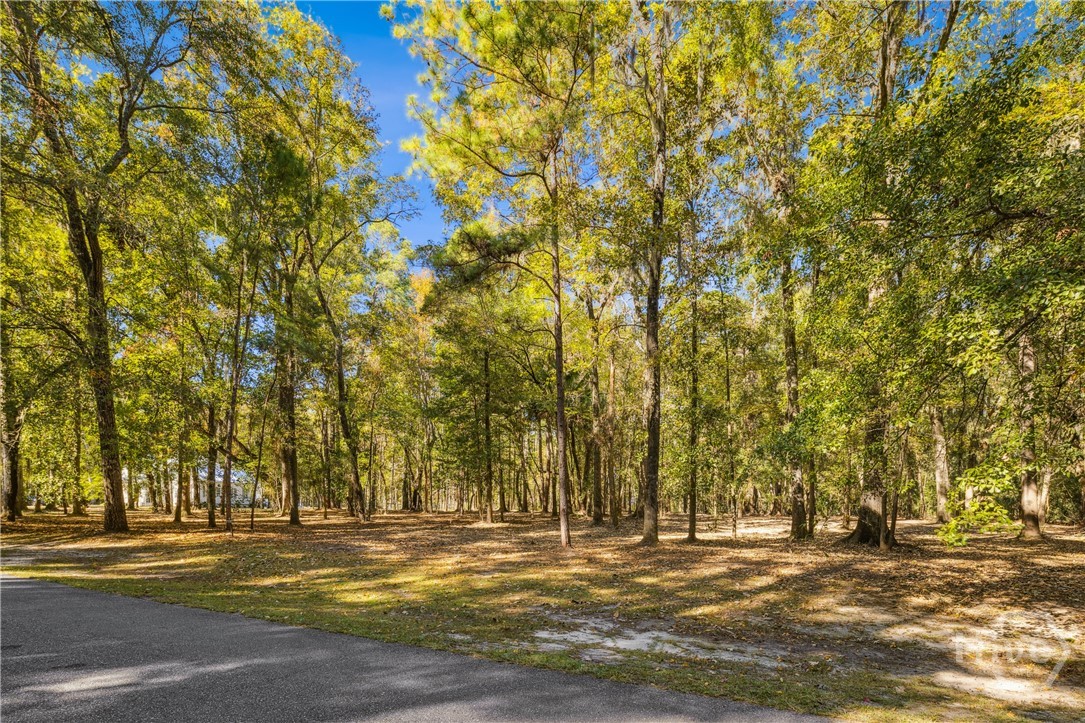 217 Mcallister Landing Property Photo 1