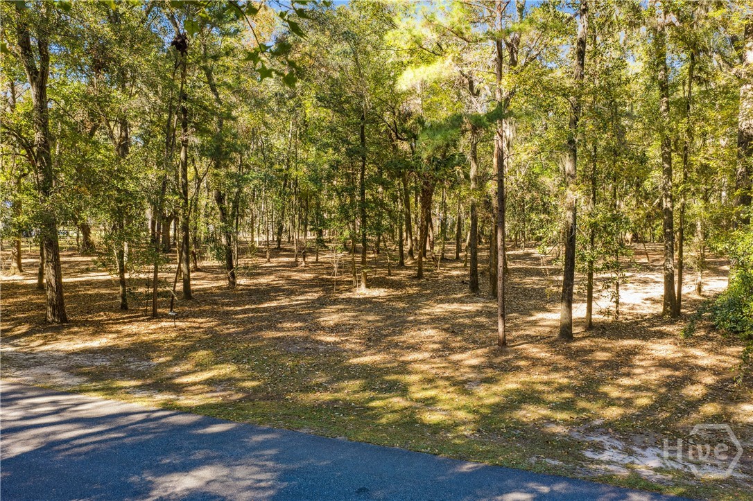 217 Mcallister Landing Property Photo 4