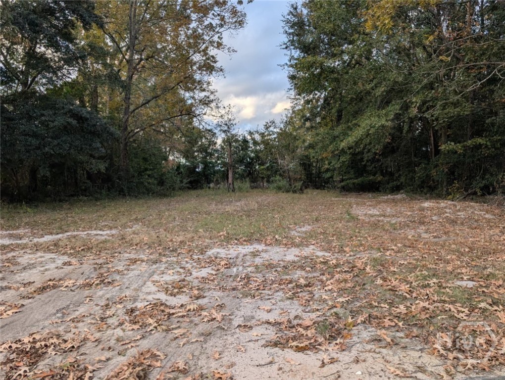 121 Roberts Street Property Photo 1