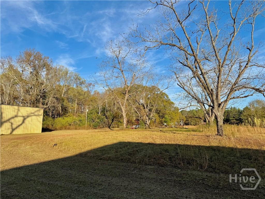 1393 Ephesus Church Road Property Photo 6