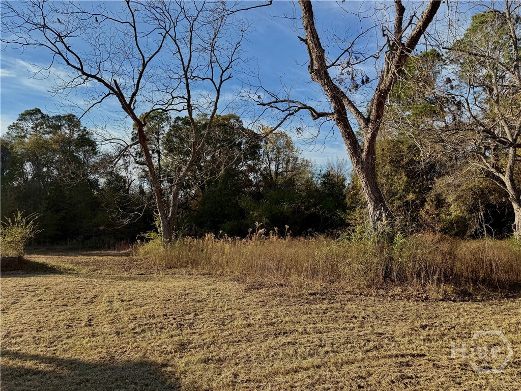 1393 Ephesus Church Road Property Photo 7