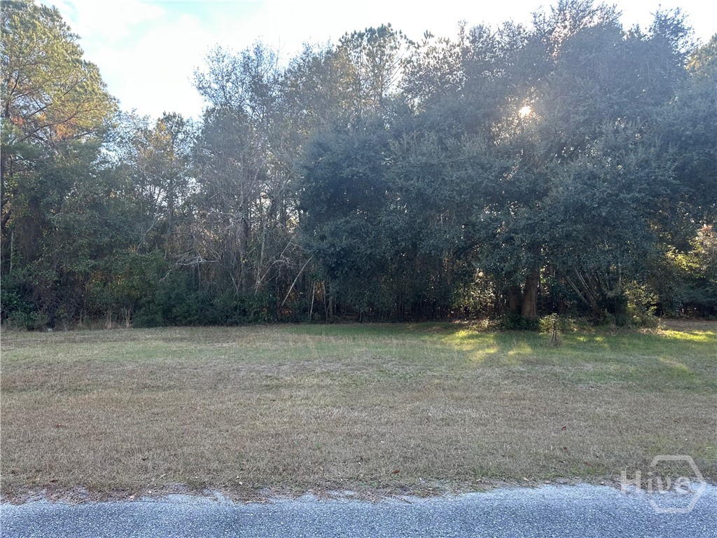 0 Dean Drive Property Photo 1