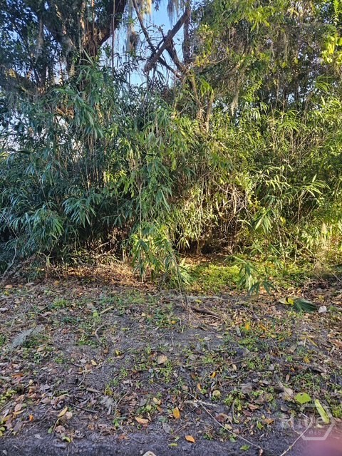 0 Whitefield Property Photo 3