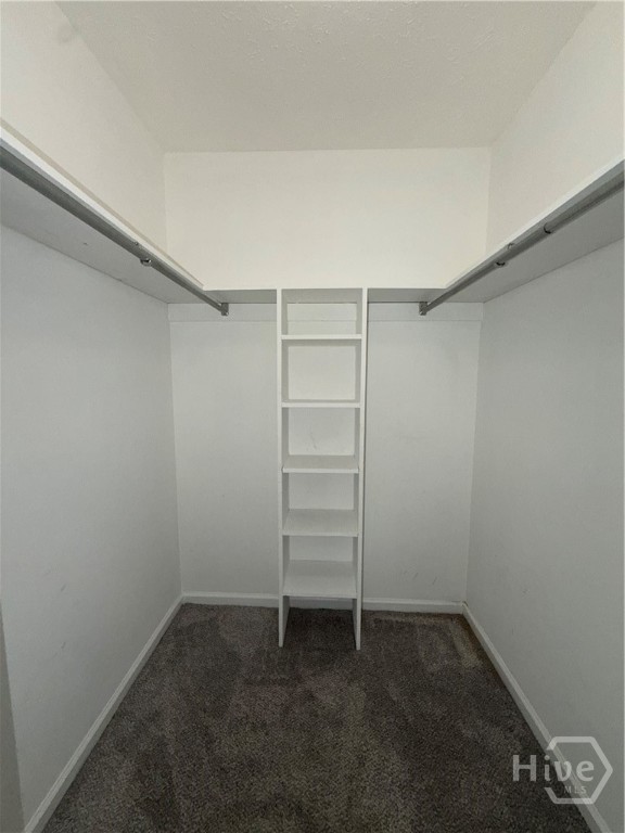 79 Blue Wing Drive Property Photo 24