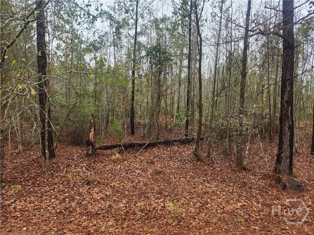 351 Poplar Property Photo 2