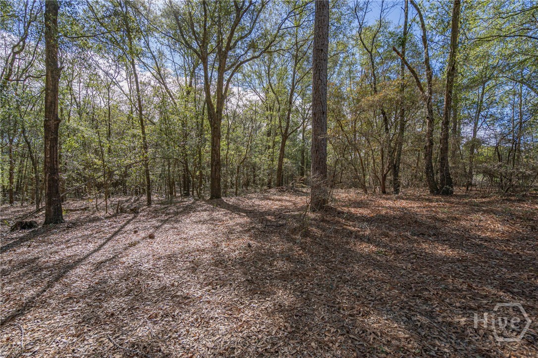 164 Holly Drive Property Photo 11