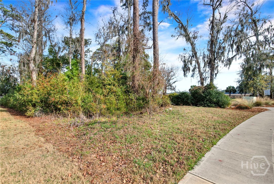 147 Bluffside Circle Property Photo 11
