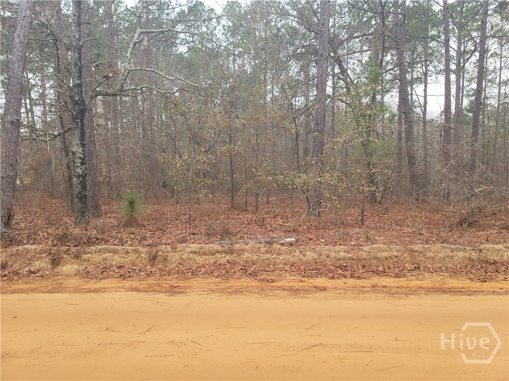 0 Jim Cannon Road Property Photo 5