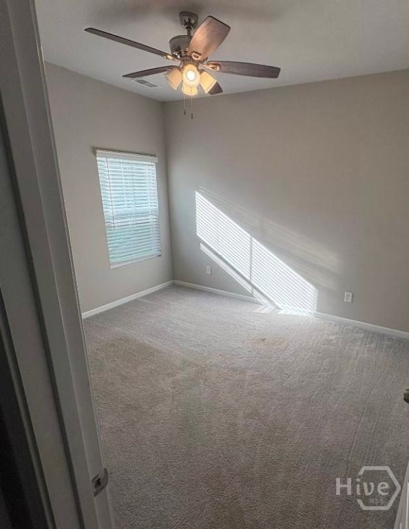 305 Lillian Street Property Photo 12