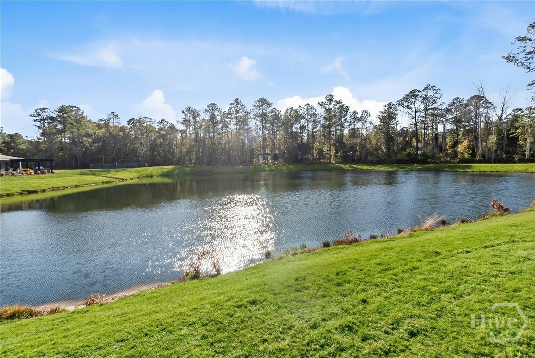 109 Sandy Bend Drive Property Photo 47
