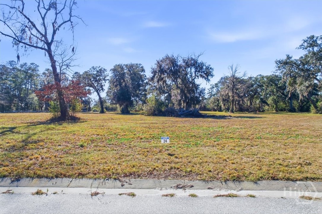 LOT 24 Bermuda Bluff Lane