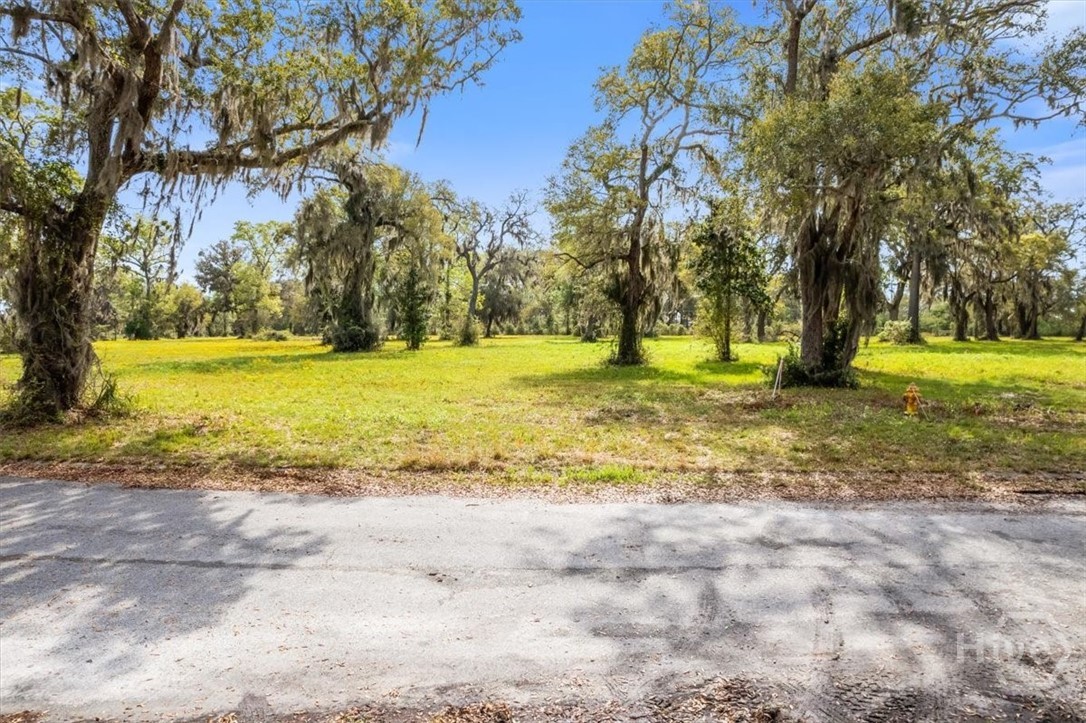 Lot 24 Bermuda Bluff Lane Property Photo 3