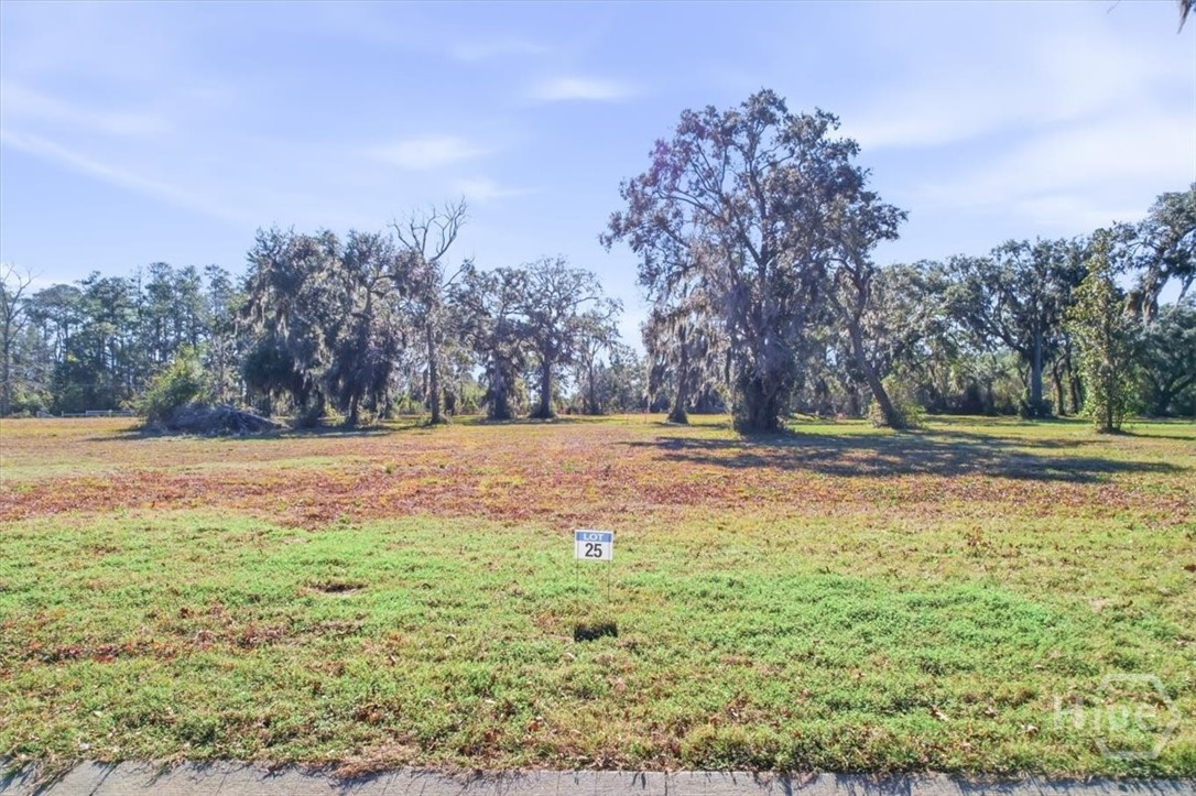 Lot 25 Bermuda Bluff Lane Property Photo 1