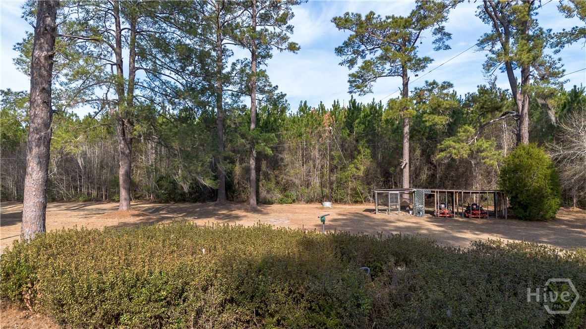 2429 Ga Highway 119 N Property Photo 6