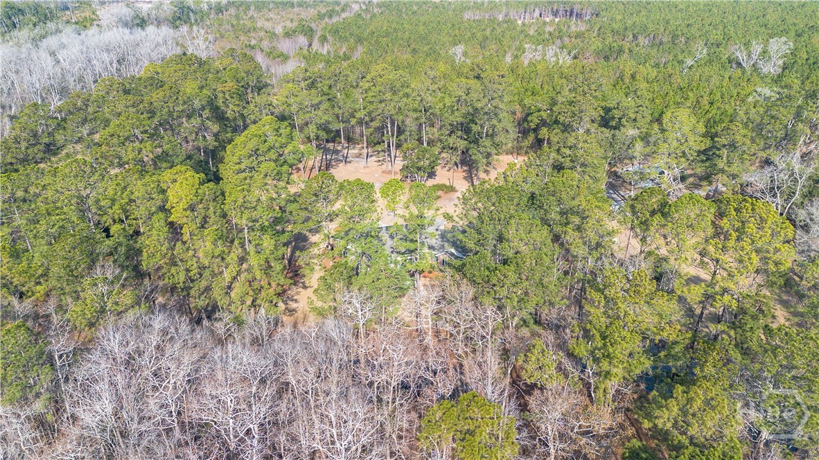 2429 Ga Highway 119 N Property Photo 8