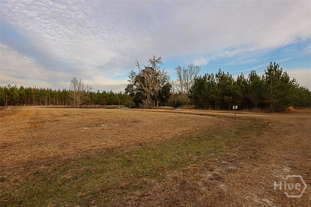 307 Chester Thomas Road Property Photo 46