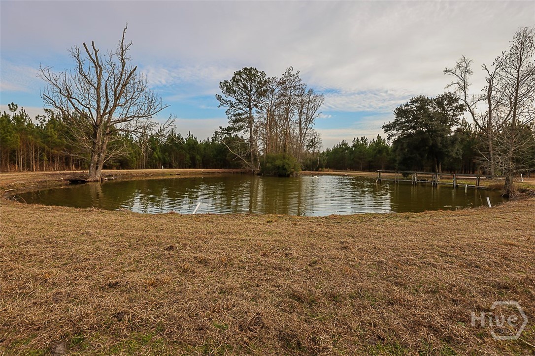 307 Chester Thomas Road Property Photo 47