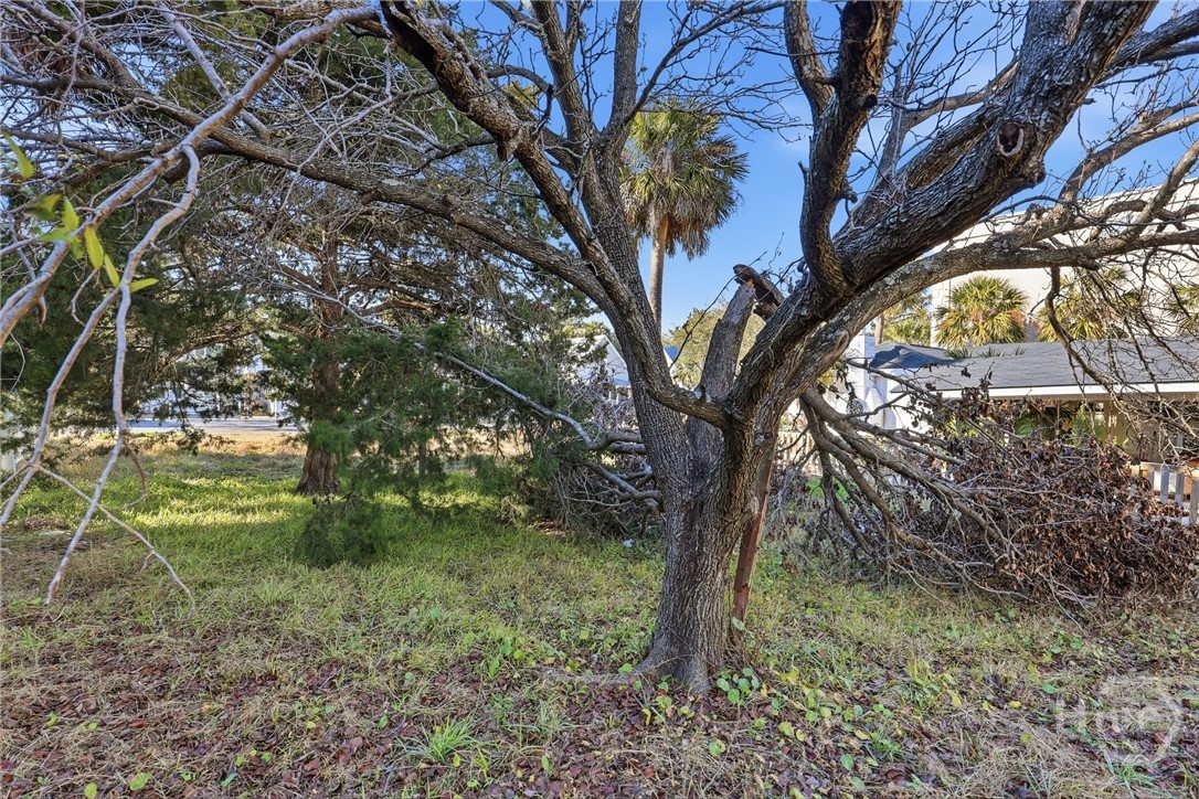 1410 2nd Avenue Property Photo 13