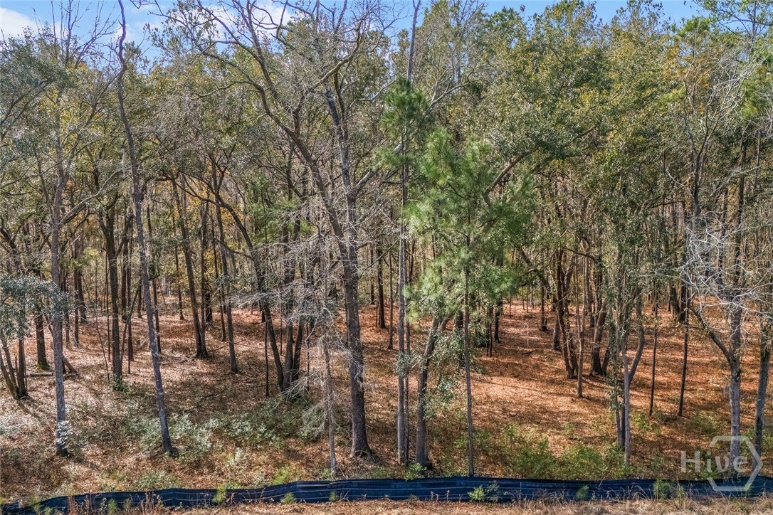 151 Wood Haven Lane Property Photo 9