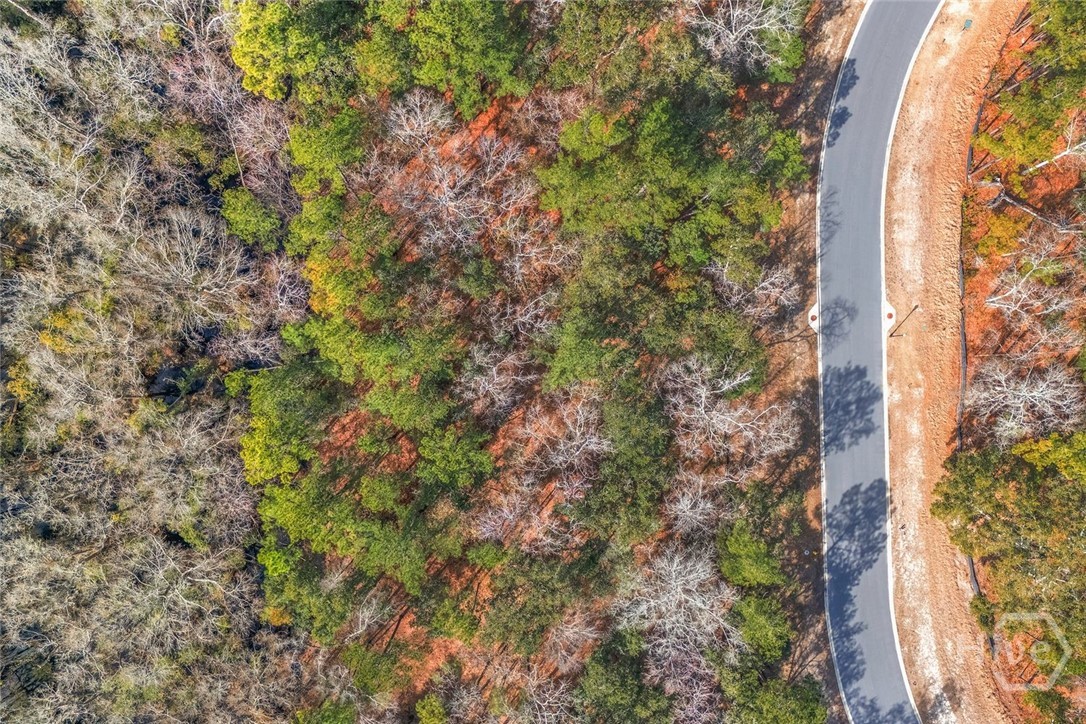 151 Wood Haven Lane Property Photo 10