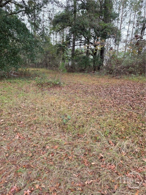 861 Brinson Road Property Photo 1